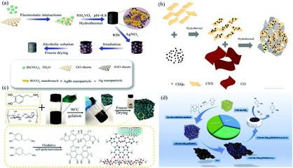 二維材料基氣凝膠的合成、功能調(diào)控及其在環(huán)境檢測和修復領域的應用-納孚生物