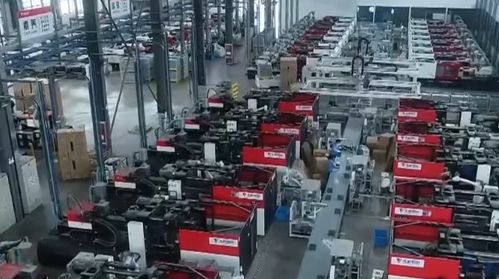 中國科學(xué)院發(fā)布多個生物多樣性成果 我國基本摸清主要生物類群和植被類型