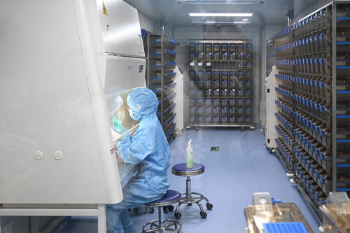 柳州市人民醫(yī)院實驗動物中心揭牌 開啟基礎(chǔ)科研新征程