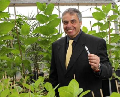 以色列生物科技新突破 利用煙草生產膠原蛋白及生物化工產品